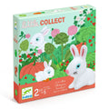 Djeco- Little Collect