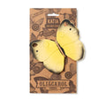 Oli&Carol- Katia the Butterfly